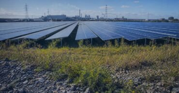 China solar panel price slump persists