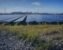 China solar panel price slump persists
