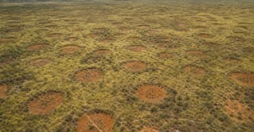 Australia's fairy circles mark natural hydrogen seeps