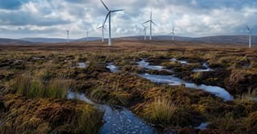 Wind farm planned near Flow Country World Heritage Site