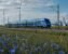 Asia's hydrogen trains and early commercial markets