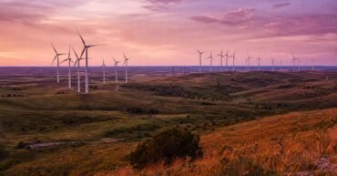 MEAG exits ownership of 460-MW Texas wind pair