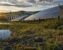95 MW Arkansas solar farm hosts a full food chain
