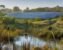 Audubon of Rhode Island Goes Solar to Hit Net-Zero