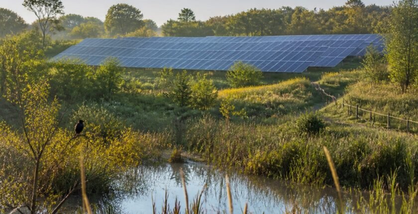 Audubon of Rhode Island Goes Solar to Hit Net-Zero