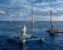 Marine energy could be Europe’s industrial trump card