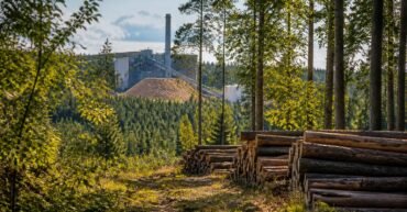 RED III cascading principle to curb woody biomass subsidies