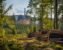 RED III cascading principle to curb woody biomass subsidies