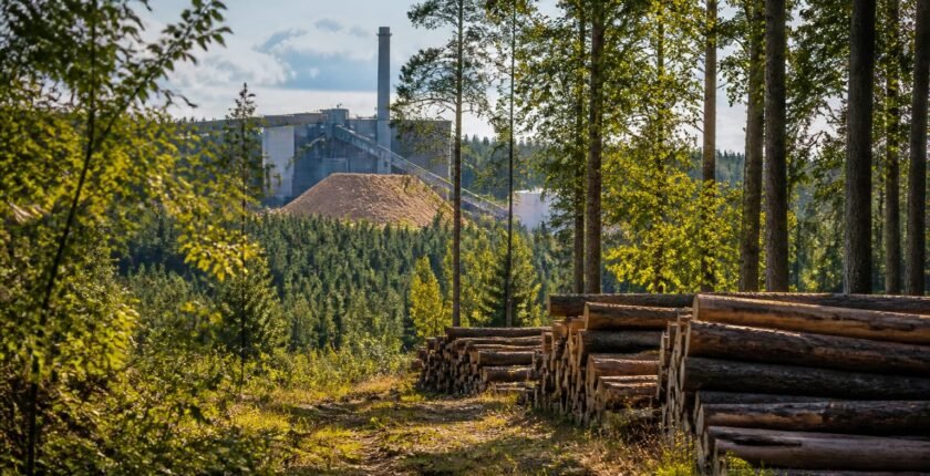 RED III cascading principle to curb woody biomass subsidies