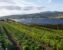 Who benefits from agrivoltaics on farmland