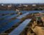 1.2GW Big Rooter solar project breaks ground near Aggieland