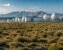 Kazakhstan and Germany Deepen Green Hydrogen Cooperation