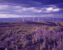 New Mexico's clean-energy transition ahead of schedule