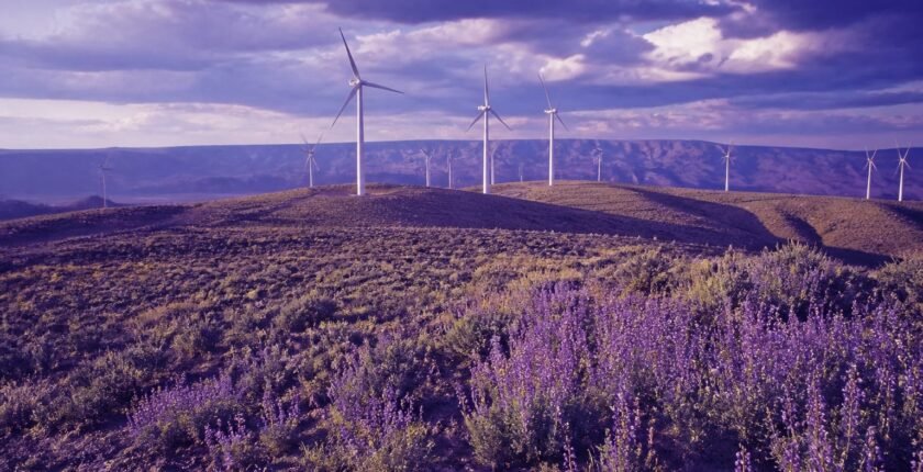 New Mexico's clean-energy transition ahead of schedule